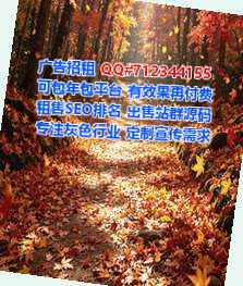 北湖代生广告事务所